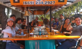 Individual Seat Bar and Brewery Tour