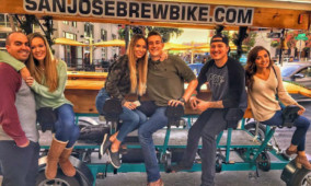 Private Group Bar and Brewery Tour