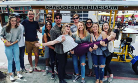 Private Group Bar and Brewery Tour