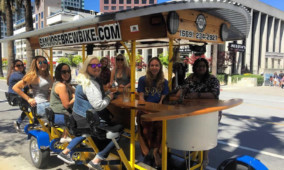 Bachelorette Party Bar and Brewery Tour