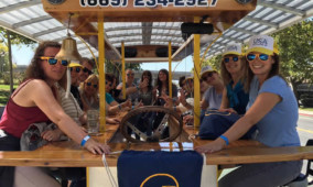 Bachelorette Party Bar and Brewery Tour