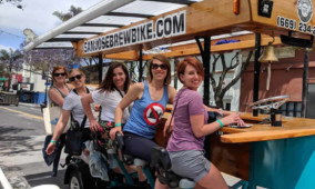 Bachelorette Party Bar and Brewery Tour