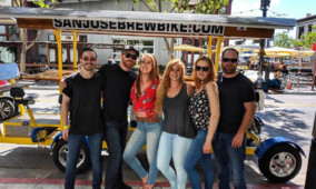 Private Group Bar and Brewery Tour