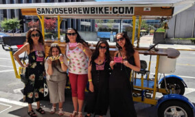 Bachelorette Party Bar and Brewery Tour