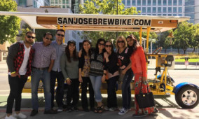 Private Group Bar and Brewery Tour