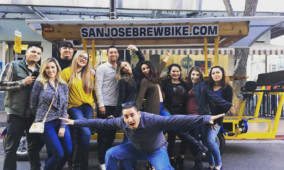 Individual Seat Bar and Brewery Tour