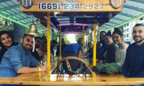 Private Group Bar and Brewery Tour