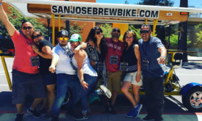 Private Group Bar and Brewery Tour