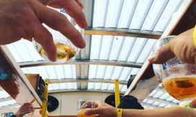 Celebrating on a Bar and Brewery Tour