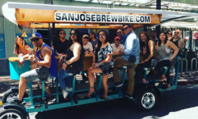 Private Group Bar and Brewery Tour