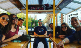 Individual Seat Bar and Brewery Tour