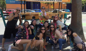 Bachelorette Party Bar and Brewery Tour