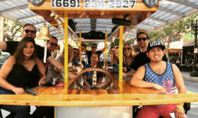 Individual Seat Bar and Brewery Tour