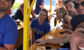 Team Building Bar and Brewery Tour