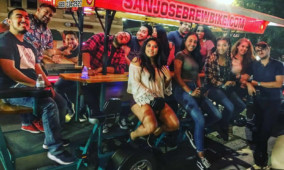 Private Group Bar and Brewery Tour