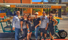 Private Group Bar and Brewery Tour