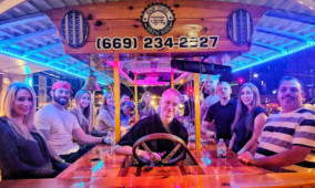 Individual Seat Bar and Brewery Tour