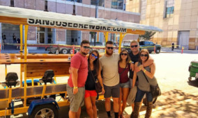 Private Group Bar and Brewery Tour