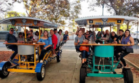 Team Building Bar and Brewery Tour