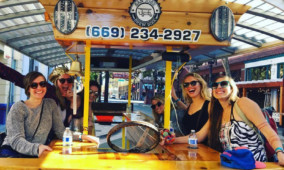 Bachelorette Party Bar and Brewery Tour